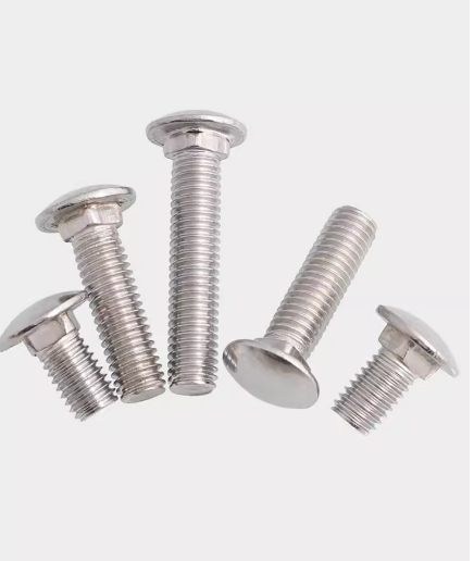 Carriage Bolts